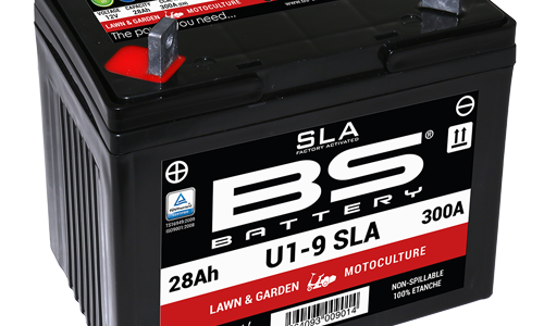 BS Battery SLA_U1-9 12N24-4A