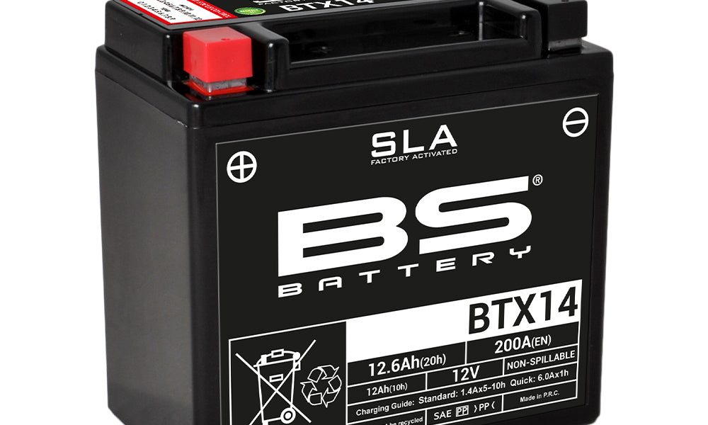 BS 12V AGM BATTERIES